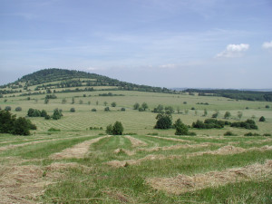 Mountain Stream Stock Photo