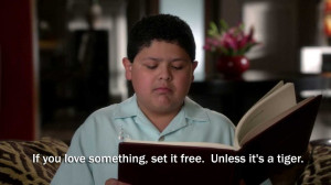 funny, modern family, quotes, tiger
