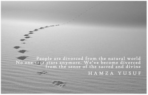 Hamza Yusuf Quotes by ibneaslam
