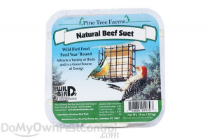 Pine Tree Farms Natural Beef Suet Cake Bird Food 12 oz. (1070)
