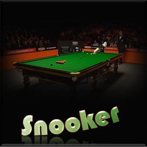 Funny Snooker 48