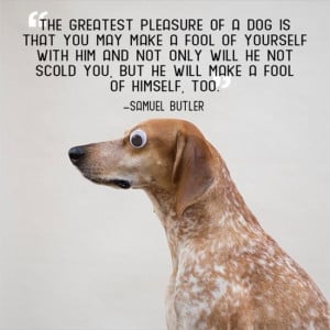 Great pet quotes1 Great pet quotes