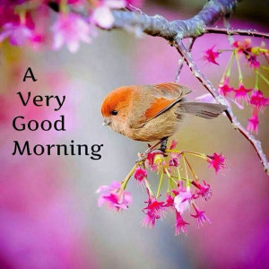 Good Morning Wishes Quotes for best friends – Best Morning Text SMS ...