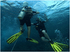 Koh Phangan : Scuba Diving and Snorkelling : Dive Schools : Fun ...