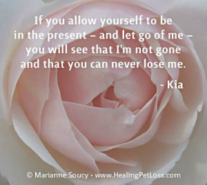 Pet Loss Quote Gallery #pet #loss #grief