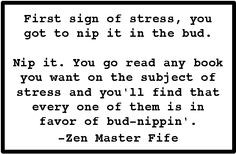 ... Quotes Finder: Barney Fife - Zen Master Quotes - Andy Griffith Show