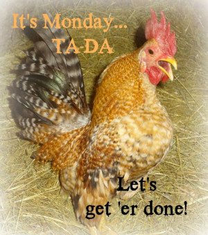 ... Da Let's get 'er done! Serama roo. #poultry #serama #chickens #quotes