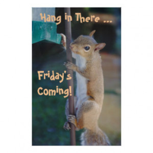Funny Squirrel Posters & Prints