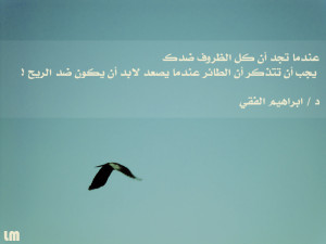 ... .net/fs70/f/2012/042/1/f/fly___quote_01_by_muslim2proud-d4pfu1l.jpg