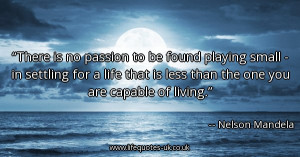 there-is-no-passion-to-be-found-playing-small-in-settling-for-a-life ...
