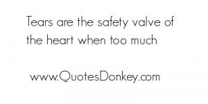 Safety Valve Quotes