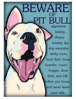 Beware of pit bull aggressive licking, sloppy kissing, lab dog wannabe ...