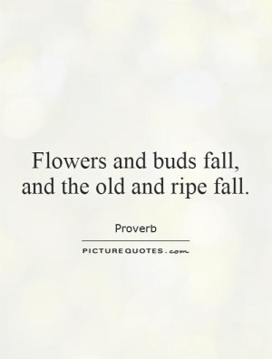 Death Quotes Flower Quotes Fall Quotes Proverb Quotes Aging Quotes