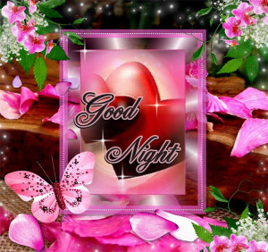 ... night-butterfly-and-rose-petals/][img]alignnone size-full wp-image