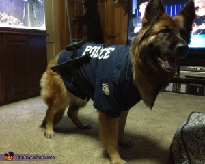 German shepherd police dog -3, German Shepherd Police Dog Costume