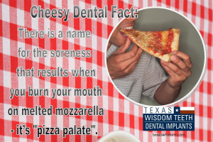 Funny Quotes About Dentists Blog Texaswisdom