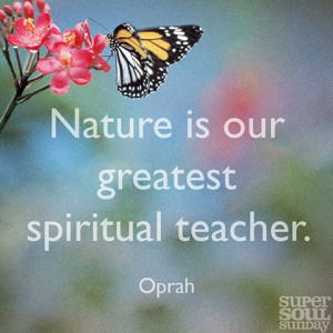 quote about love - without warning - sappho