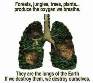 Trees are the Lungs of our Earth