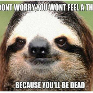 Sloth Memes Love Sloths...