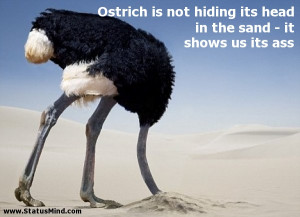 Ostrich is not hiding its head in the sand - it shows us its ass ...