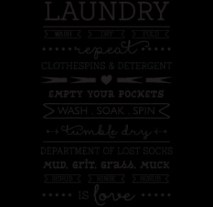 Laundry is Love Wall Quotes™ Decal
