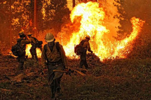Wildland Firefighters are Fighting for Their Rights—and Respect