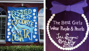 80 Bid Day Themed Slogans for Different Chapters:
