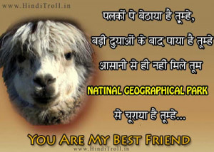 FUNNY FRIENDSHIP WALLPAPER IN HINDI QUOTES 2012 STATUS FOR FB IMAGES ...
