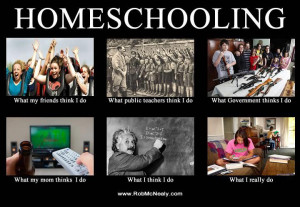 kind of meme, because right after a friend sent me the homeschooling ...