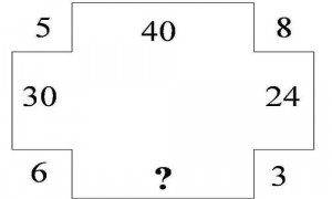 Ways To Entertain An Intellectual