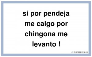 Si Me Caigo Por Pendeja Me Levanto Por Chingona 3
