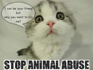 stop animal abuse photo: Stop Animal Abuse AnimalAbuseCat.gif