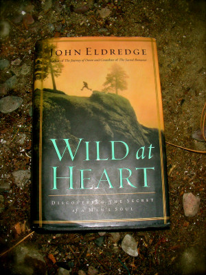 John Eldredge Wild at Heart Quotes