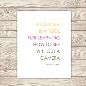 Love this photography quote: “A camera is a tool for learning how to ...