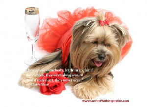 inspirational heartbreak quotes title heartbreak quotes inspirational ...