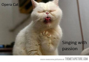 Funny photos funny cat singing opera