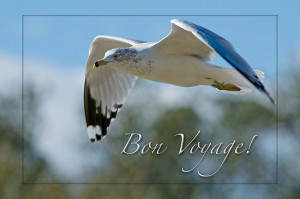 Bon Voyage Sign