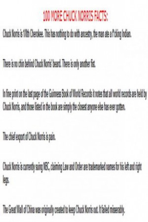 View bigger - Top 100 Chuck Norris Quotes for Android screenshot