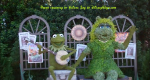 Kermit The Frog And Miss Piggy Quotes Kermit Miss Piggy Tiggerific