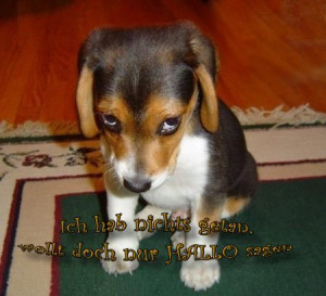 Hallo - GB Pics, Jappy Bilder, Gästebuchbilder, GBBilder und Facebook ...