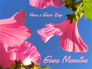 good morning ecard ideas with pink bell flower and simple quote ...