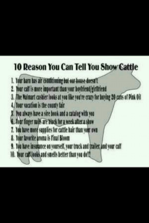 ... Showmanship, 10 Reasons, 4 H, True Sad, Showin, Show Cattle Quotes