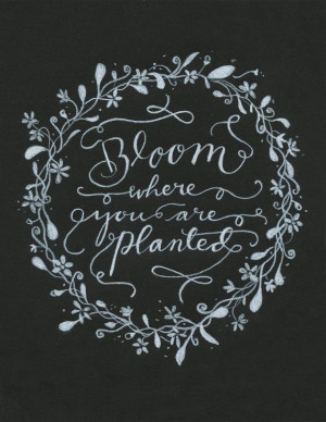 You Doll Art & Calligraphy | Bloom Where You Are Planted