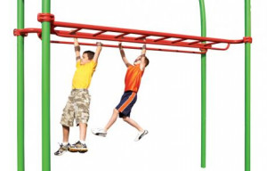 Overhead Parallel Bars