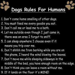 Rules to love them by!