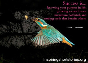 success-quotes-inspirational-quotes-inspiring-quotes-quotes_large.jpg