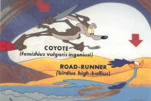 Did Wile E. Coyote ever catch Road Runner? Don’t think so.