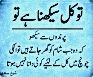 ... of Sheikh (Shaykh) Saadi;Learn Content from Birds-Sheikh Saadi Quotes