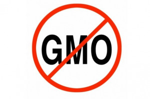 Gmo Warning Label Gif