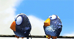Pixar animation for the birds *ftb *animshort the expressions on these ...